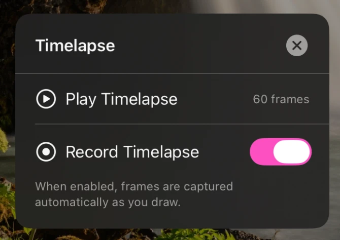 The timelapse player scrubbing through captured frames